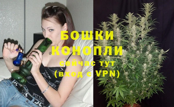 ALPHA PVP Новодвинск